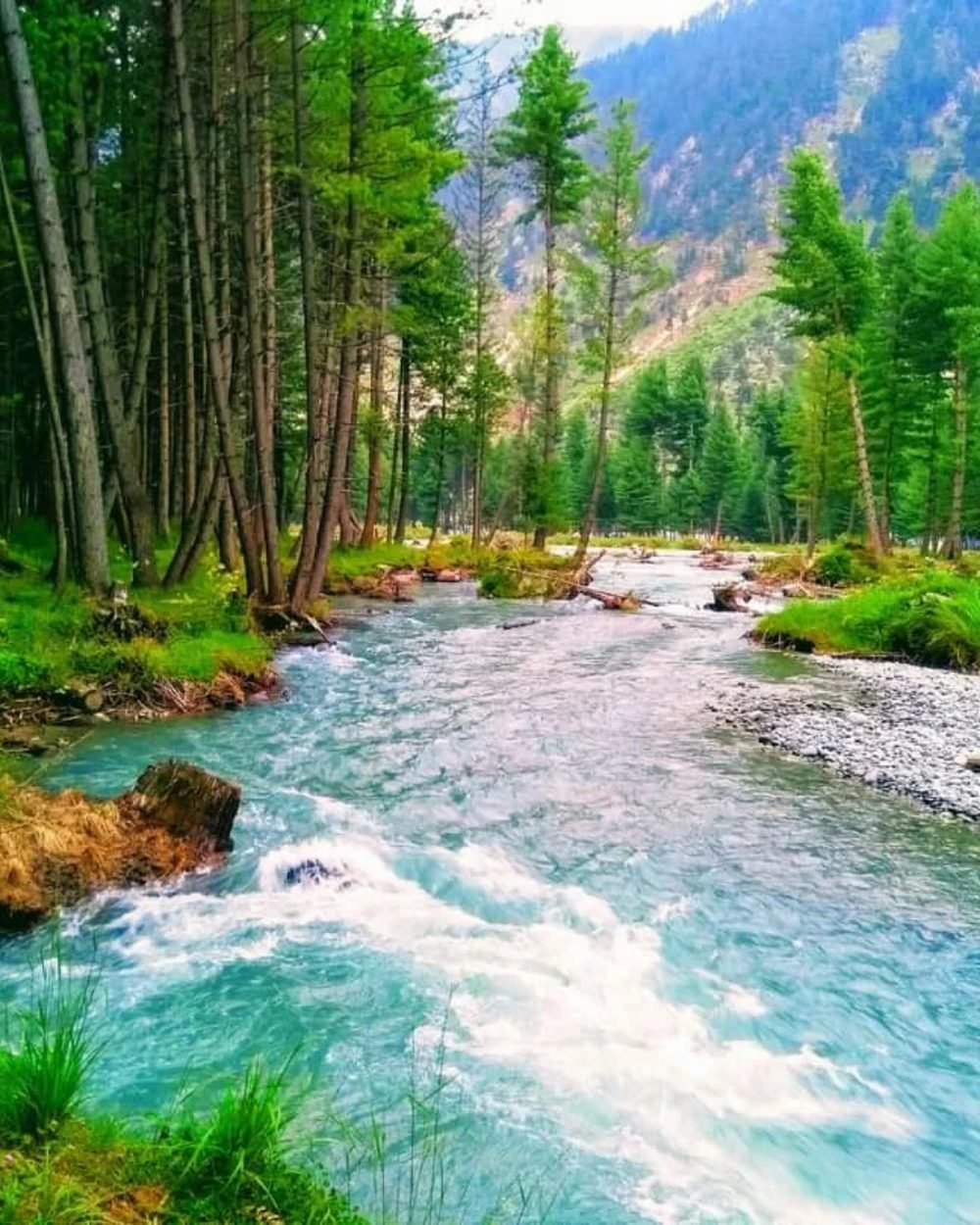 Northern Pakistan scenery — Darwesh Travels tour 16