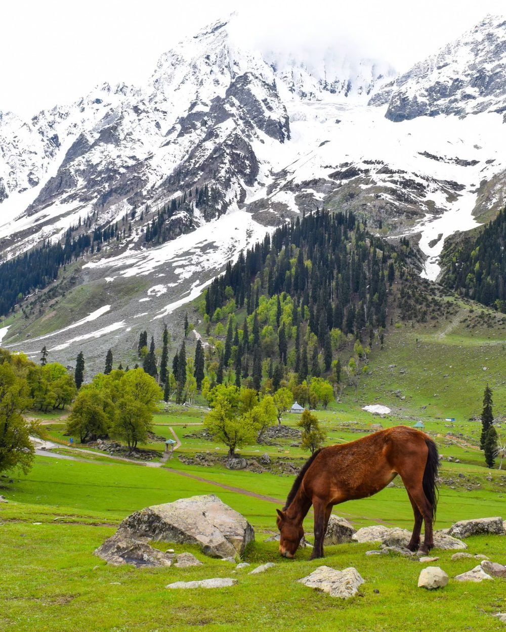 Northern Pakistan scenery — Darwesh Travels tour 19