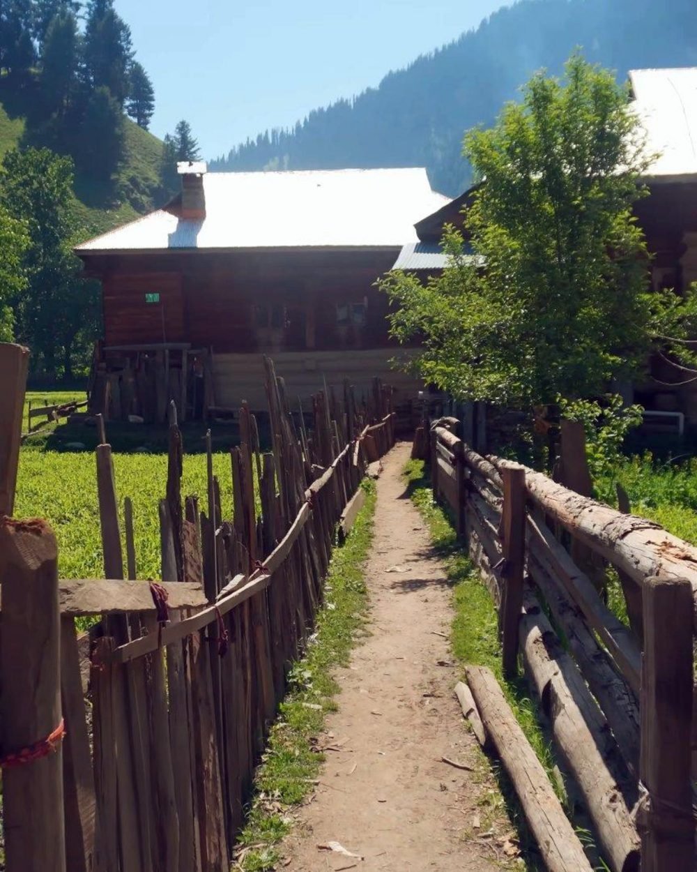 Northern Pakistan scenery — Darwesh Travels tour 22